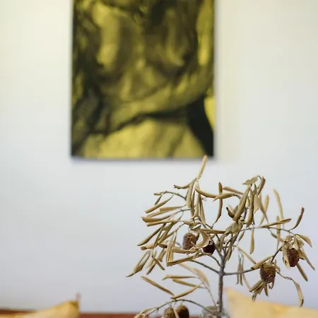 City Center Boutique Apartment 3 - Free Parking - Schlossberg View - By Casa Momo